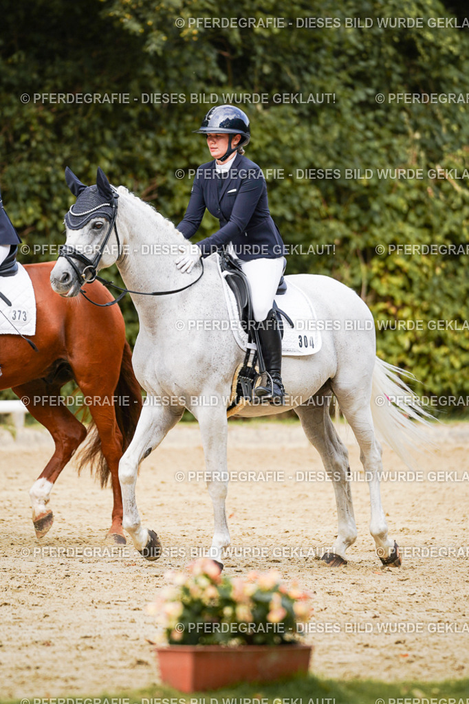 DSC02877 | Pferdegrafie