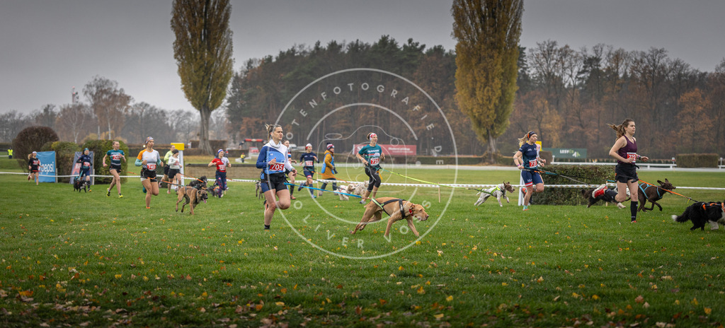 CaniXpix_DV3A8837 | Hundefotografie, Tierfotograf, Pfotenfotografie, Fotoshooting Hund, Hunde Portrait, Hundesport, Hundeportraits, Heideshooting, Hunde, Sportfotograf, Hundefotograf, Turnierhundsport, THS,  - Realisiert mit Pictrs.com