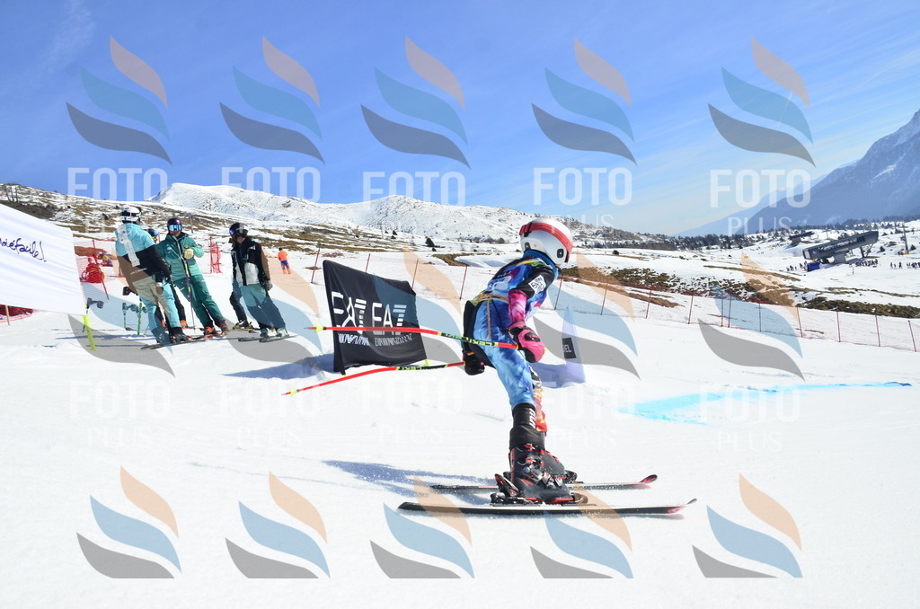 _ELE0457 | holidayphoto