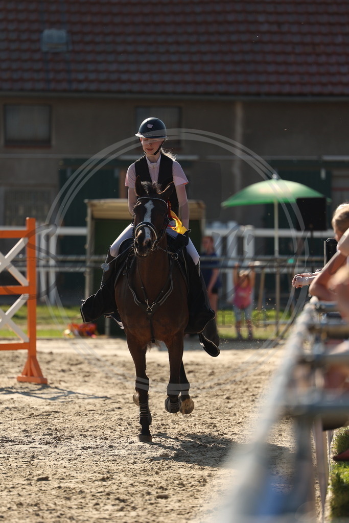 994A6222 | sabrinanicolaifotografie - Realisiert mit Pictrs.com