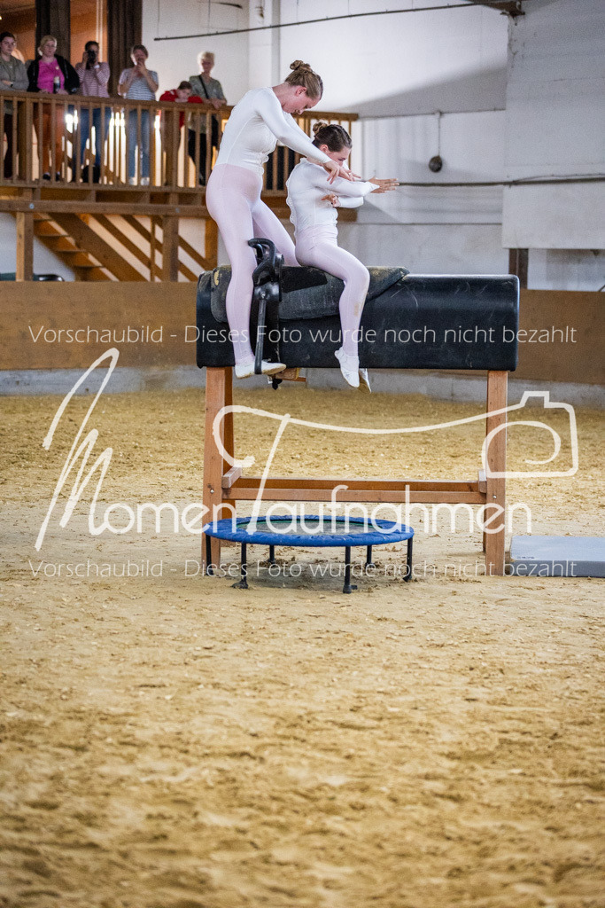 Holzpferd-113 | MomenTaufnahmen Pferdesportfotos