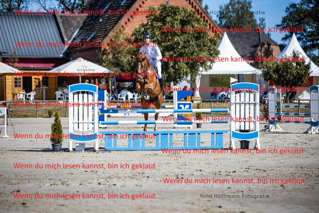 BK1A5643 | Turnierbilder Turnierfotos Nina Hüffmann Turnierfotografie Pferdefotografie Tierzeichnung Haustierzeichnung Pferdezeichnung Hundezeichnung Videograf  - Realisiert mit Pictrs.com