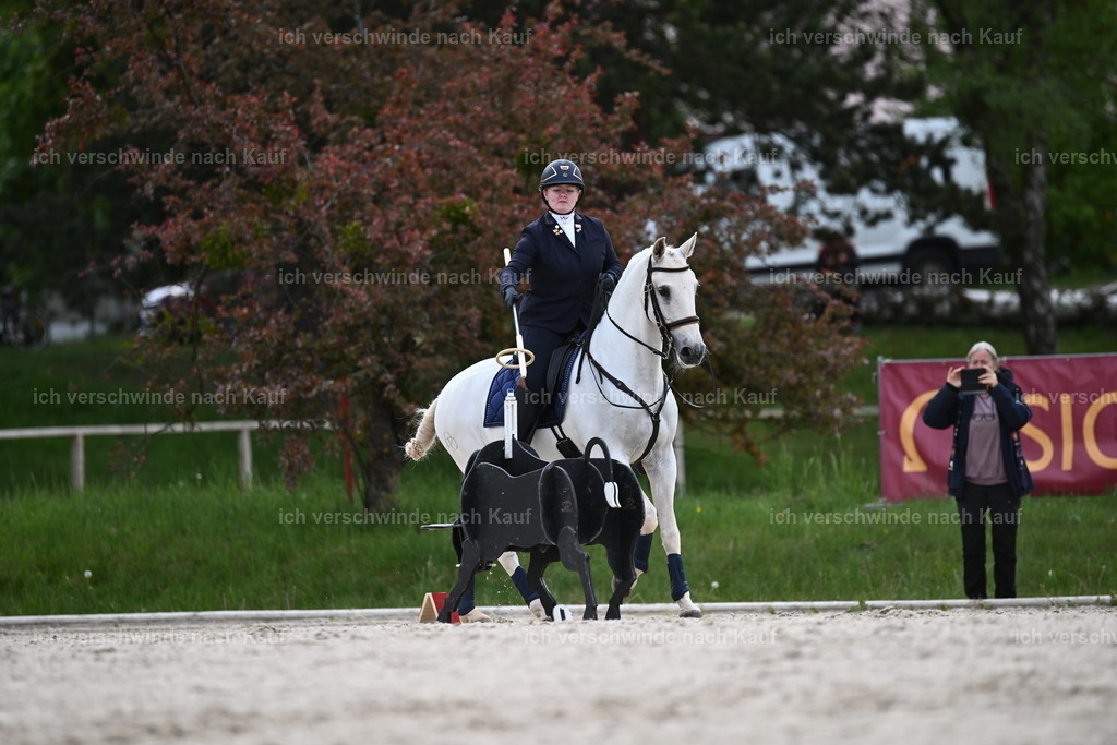 PI26_ST_Sara_Landvogt226_2481.JPG | working equitationturnier fotograf videograf stoibphotography marixx film working equitation deutschland reitsport turnierfotografie eventfotografie equestrian events
