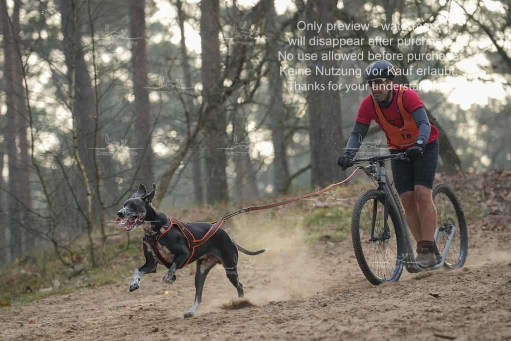 Scooter1-85 | stephaniefillaphotographie - Realisiert mit Pictrs.com