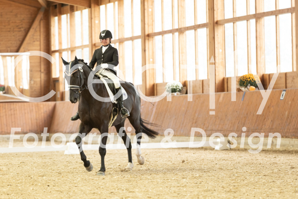 IMG_1662 | Creatify Fotografie