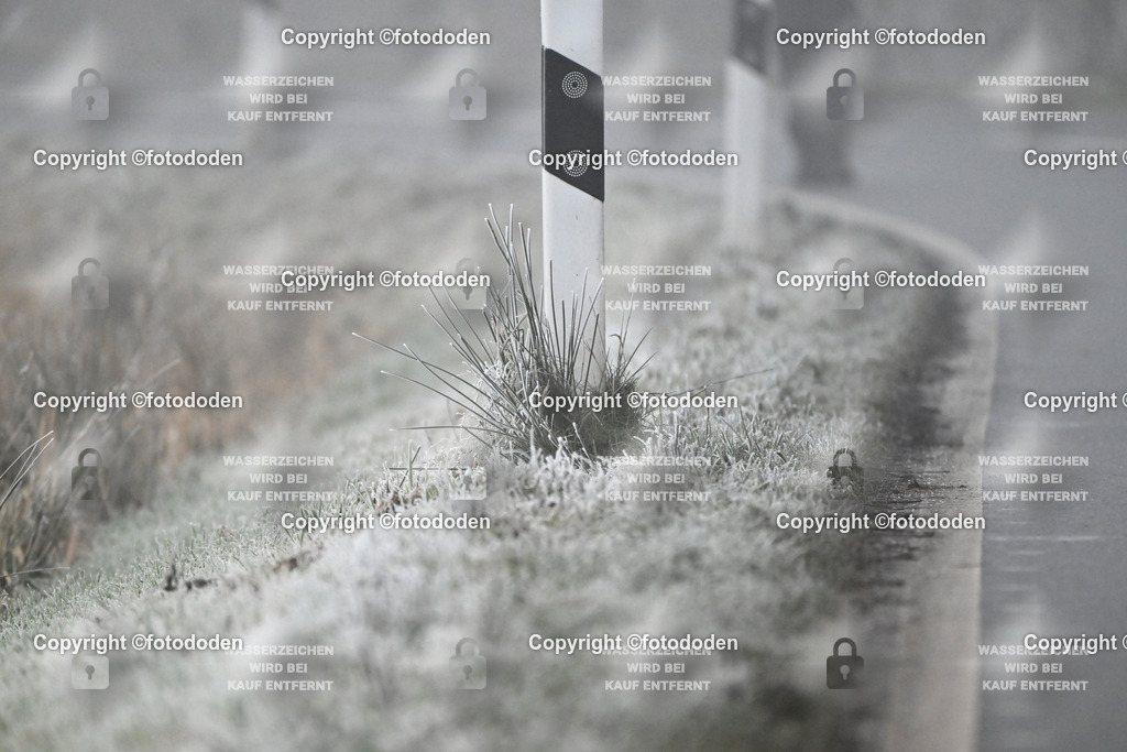 DSC_0427 | fotododen.de präsentiert ein umfangreiches Sportfoto Archiv mit Aufnahmen aus verschiedenen Sportarten im Raum Ostfriesland.