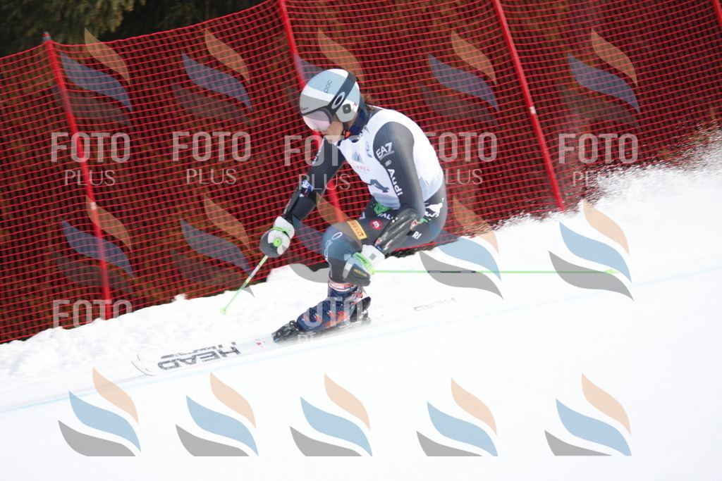 D6068 | holidayphoto