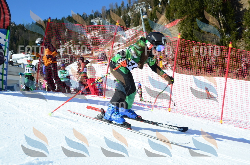 C5781 | holidayphoto