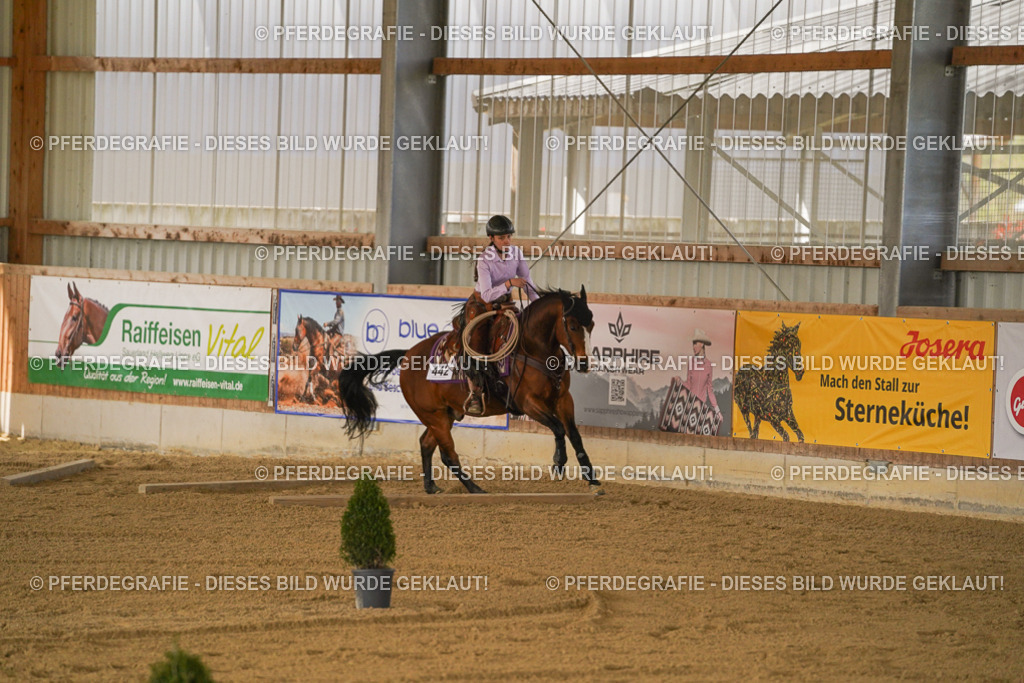 DSC06097 | Pferdegrafie