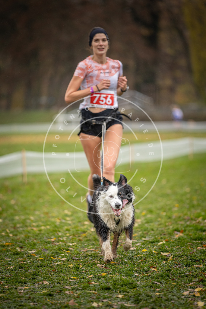 CaniXpix_DV3A9379 | Hundefotografie, Tierfotograf, Pfotenfotografie, Fotoshooting Hund, Hunde Portrait, Hundesport, Hundeportraits, Heideshooting, Hunde, Sportfotograf, Hundefotograf, Turnierhundsport, THS,  - Realisiert mit Pictrs.com