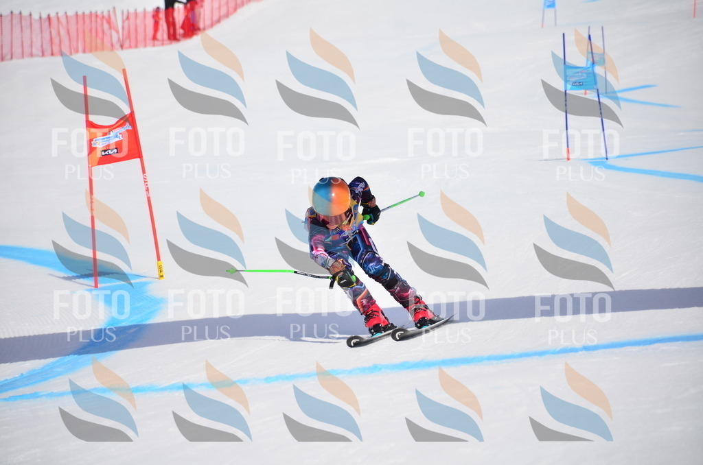 VR4_6943 | holidayphoto