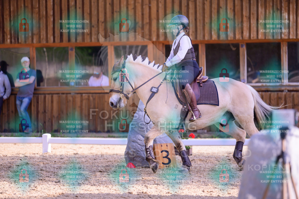 02052026-Giesenbach-03-Speedtrail-0216 | Fokus Hufschlag Fotografie - Realisiert mit Pictrs.com