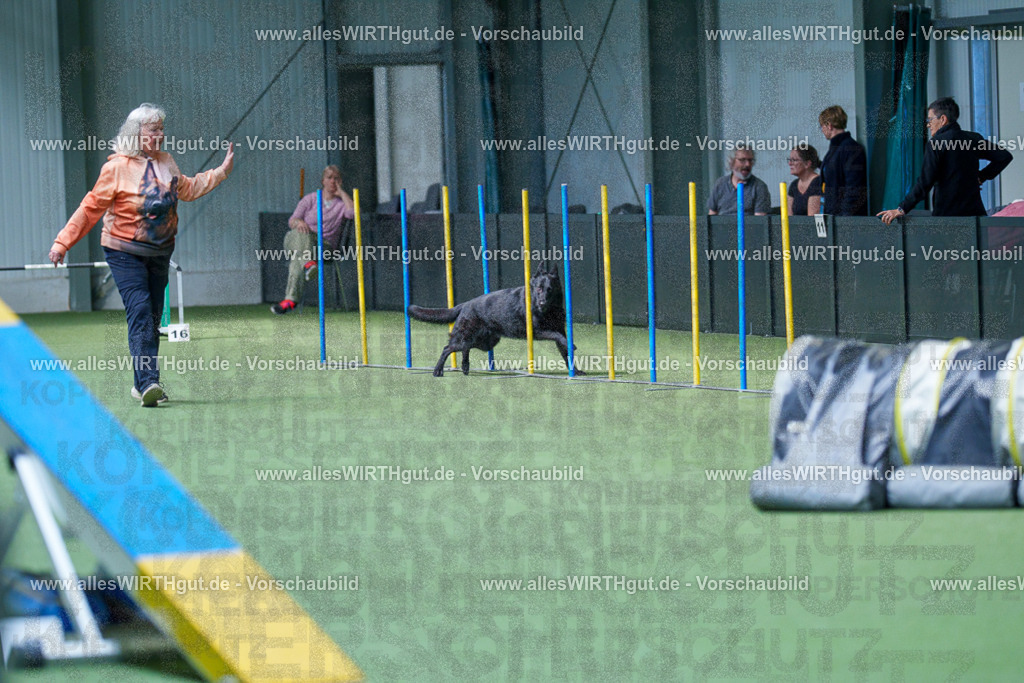 @allesWIRTHgut_Tierfotografie - www.allesWIRTHgut.de - 2604251432-7R504947 | Professionelle Tierfotografie in Mönchengladbach von Daniel Wirth (allesWIRTHgut). Liebevolle & natürliche Bilder von Hunden & Katzen für unvergessliche Erinnerungen.