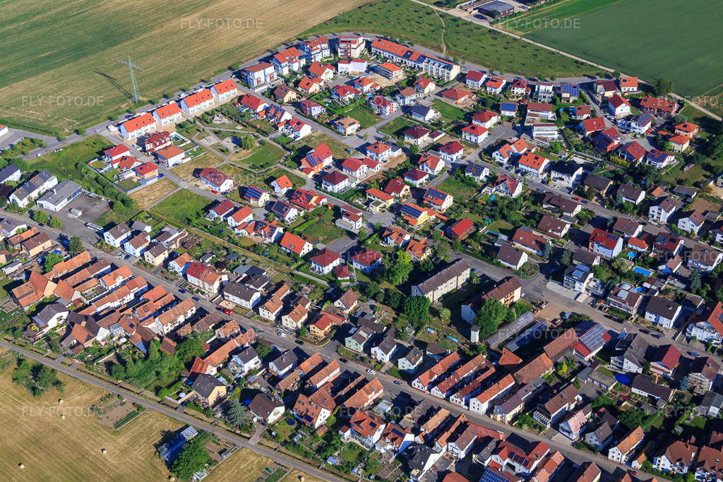 Luftbild: Rebenweg in Kandel im Bundesland Rheinland-Pfalz in Deutschland. Foto: IMG_080148.jpg vom 05.06.2015 durch Werner Riehm/FLY-FOTO.de