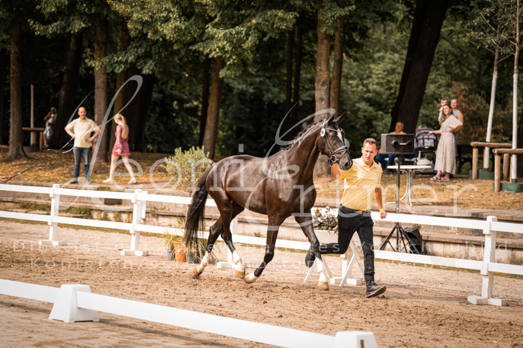 7.Fr00076 | Leoni Ertmer Photography - Realisiert mit Pictrs.com