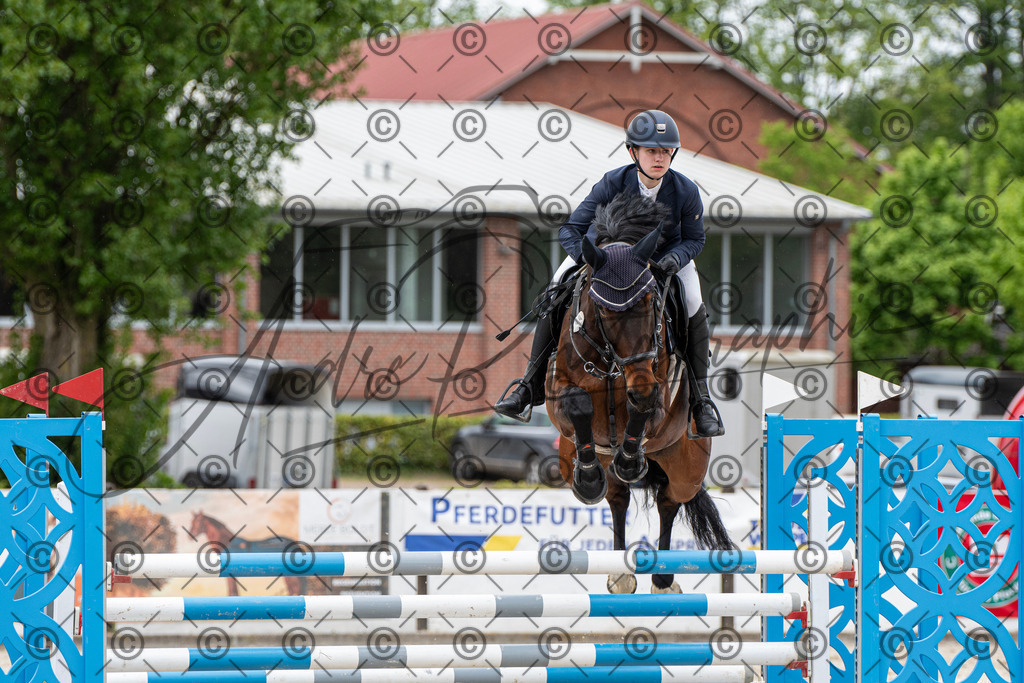 KPT_9993 | andre_photographic