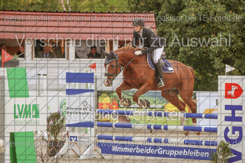 2025-09-22_09-38-31_MG_4051 | TE-Fotos