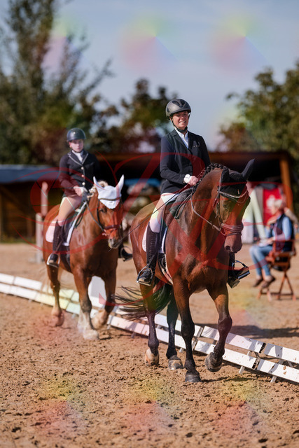 2026_10_03_Siefer-Hof_130038_Z81_51547295 | Professionelle Reitsport-, Turnier- und Eventfotografie von Robert Broda. Galerien mit ausgewählten und bearbeiteten Bildern direkt online ansehen und bestellen.