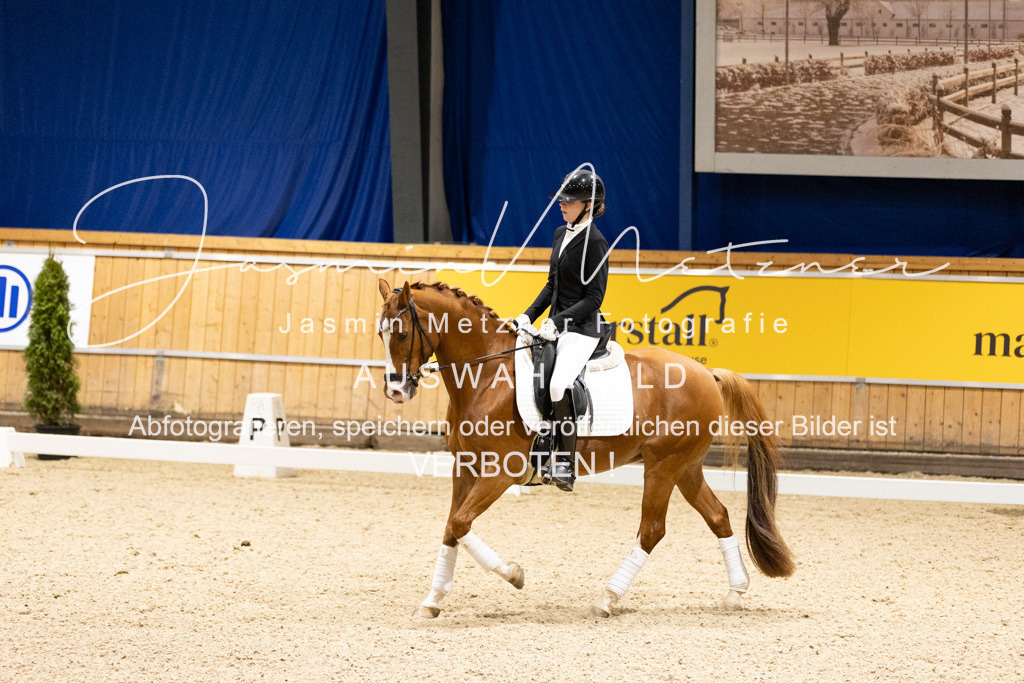 126A8750 | jasminmetznerfotografie