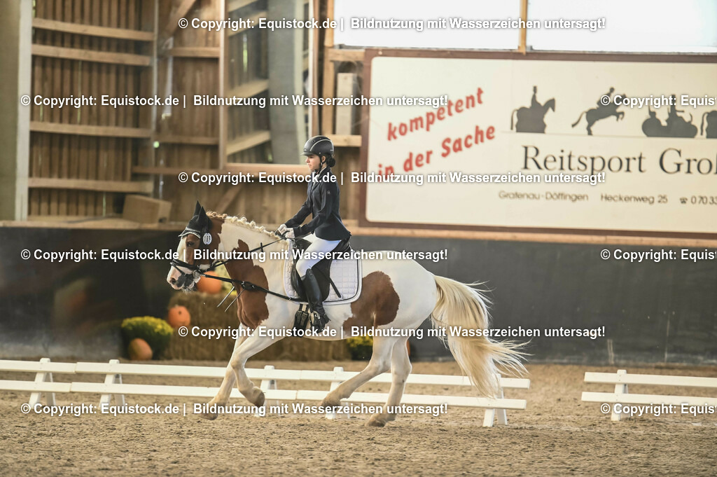 03_Reiter-WB_0220 | Foto: Thomas Hartig