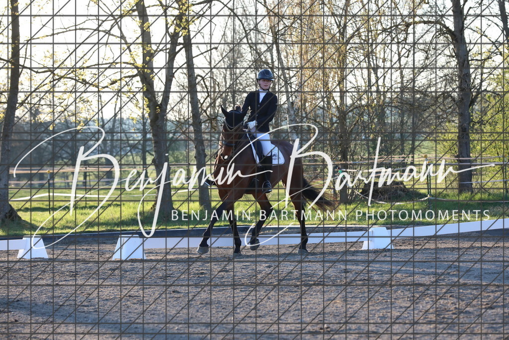 AZ2A7167 | Benjamin Bartmann Photomoments