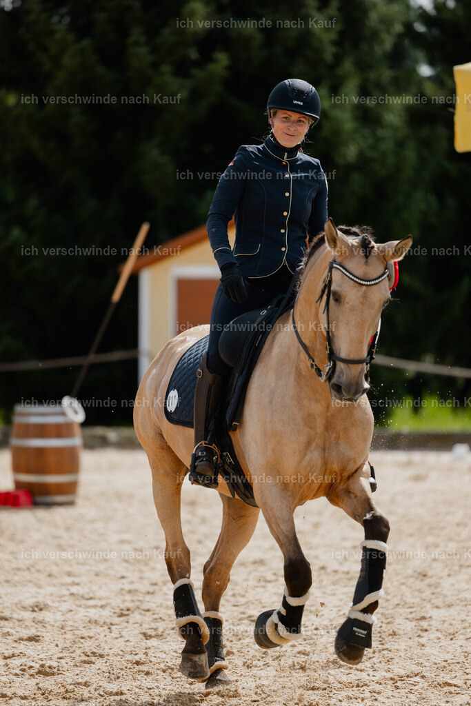 Diana11_FHC2025-20855 | working equitationturnier fotograf videograf stoibphotography marixx film working equitation deutschland reitsport turnierfotografie eventfotografie equestrian events