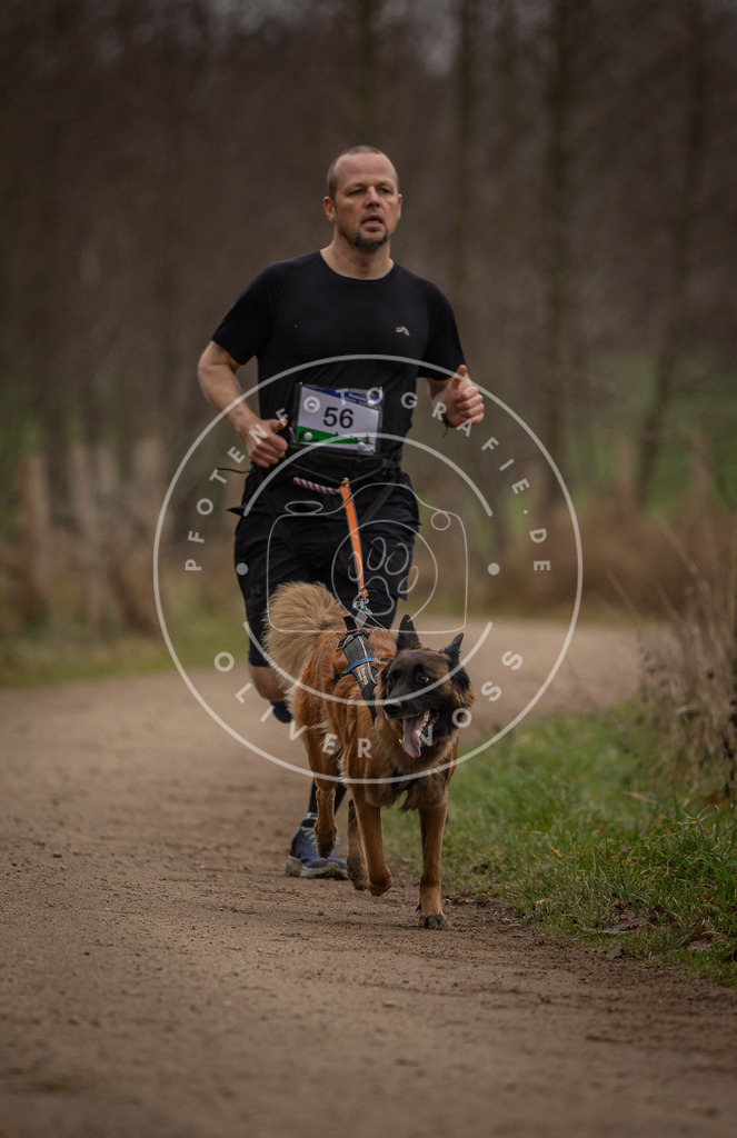 Pfotenfotografie_DV3A3054 | Hundefotografie, Tierfotograf, Pfotenfotografie, Fotoshooting Hund, Hunde Portrait, Hundesport, Hundeportraits, Heideshooting, Hunde, Sportfotograf, Hundefotograf, Turnierhundsport, THS,  - Realisiert mit Pictrs.com