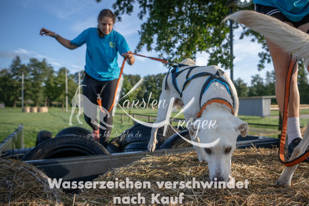 0821_ZZ91100 | kk-dogfotos