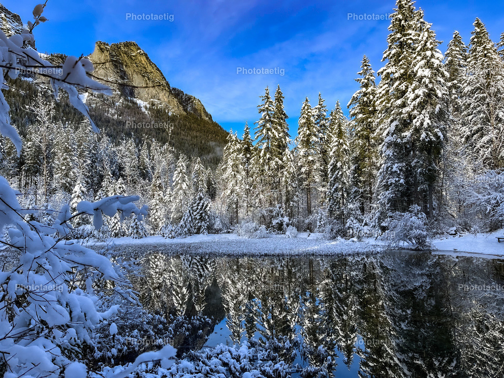 IMG_6366 | phototaetig