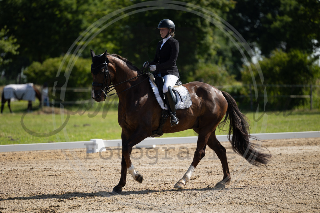 994A3781 | sabrinanicolaifotografie - Realisiert mit Pictrs.com