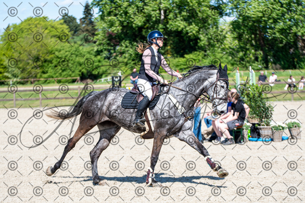 KPT_1040 | andre_photographic