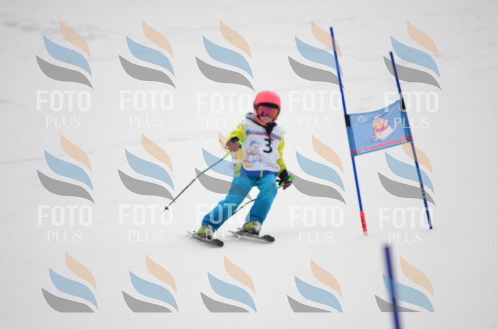 B9905 | holidayphoto