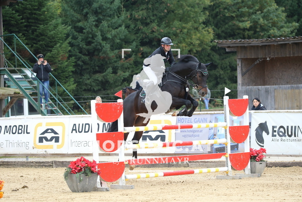 DL2Q1623 | Willkommen bei Brunnmayr - Design & Fotografie – Ihrem Spezialisten für Reitturniere und Pferdeveranstaltungen in Oberösterreich, Salzburg und Bayern! Seit über 17 Jahren sind wir leidenschaftlich dabei.