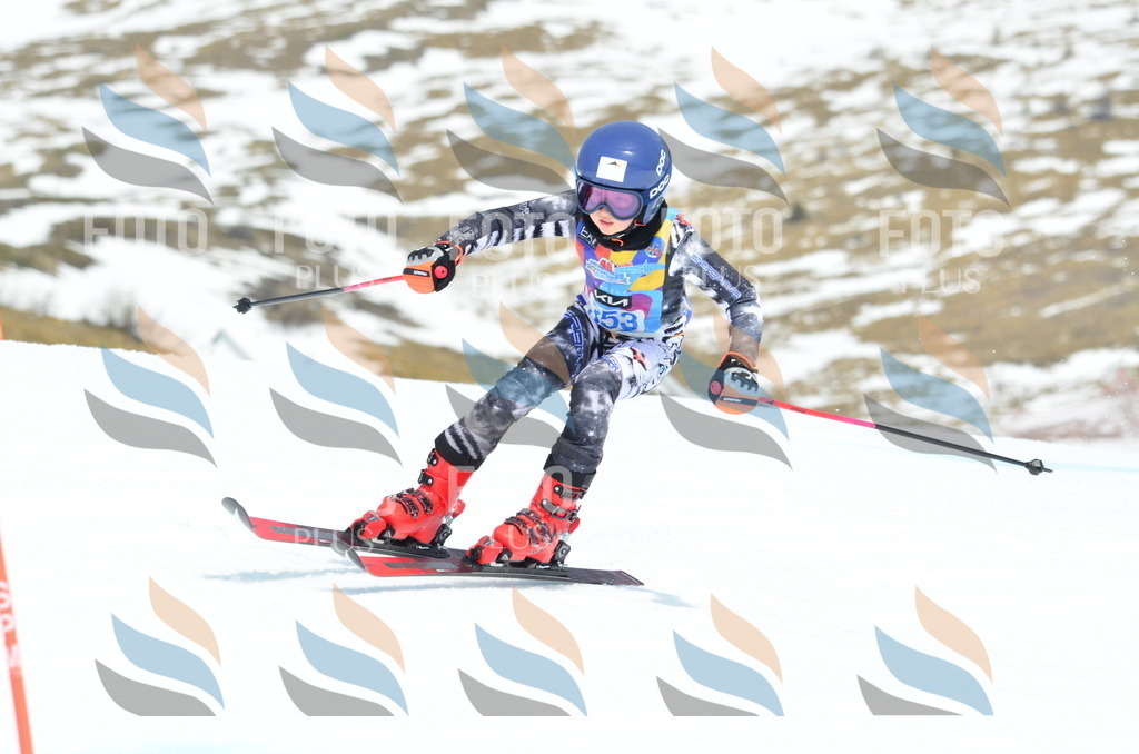 _ELE2713 | holidayphoto