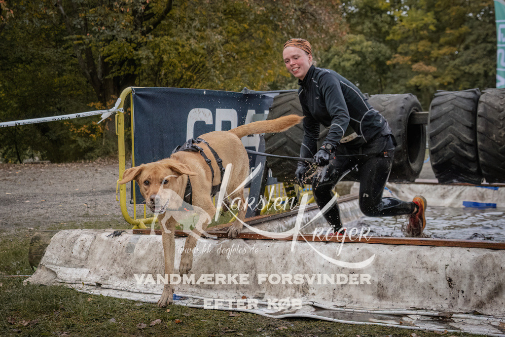1613_ZZ92921 | kk-dogfotos
