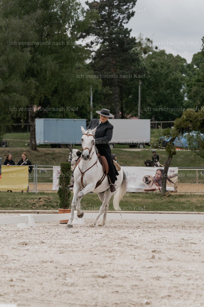 WE_DR_Stoib_321_PI2025_340 | Pferd International München 2025