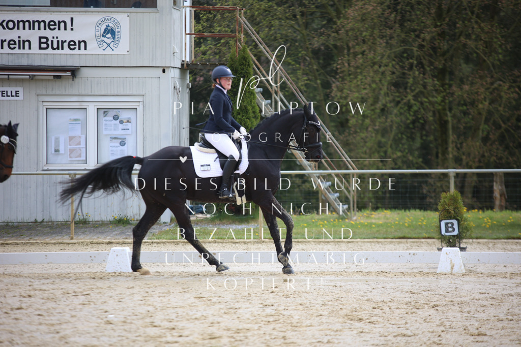 IMGT3042 | pl-fotografie