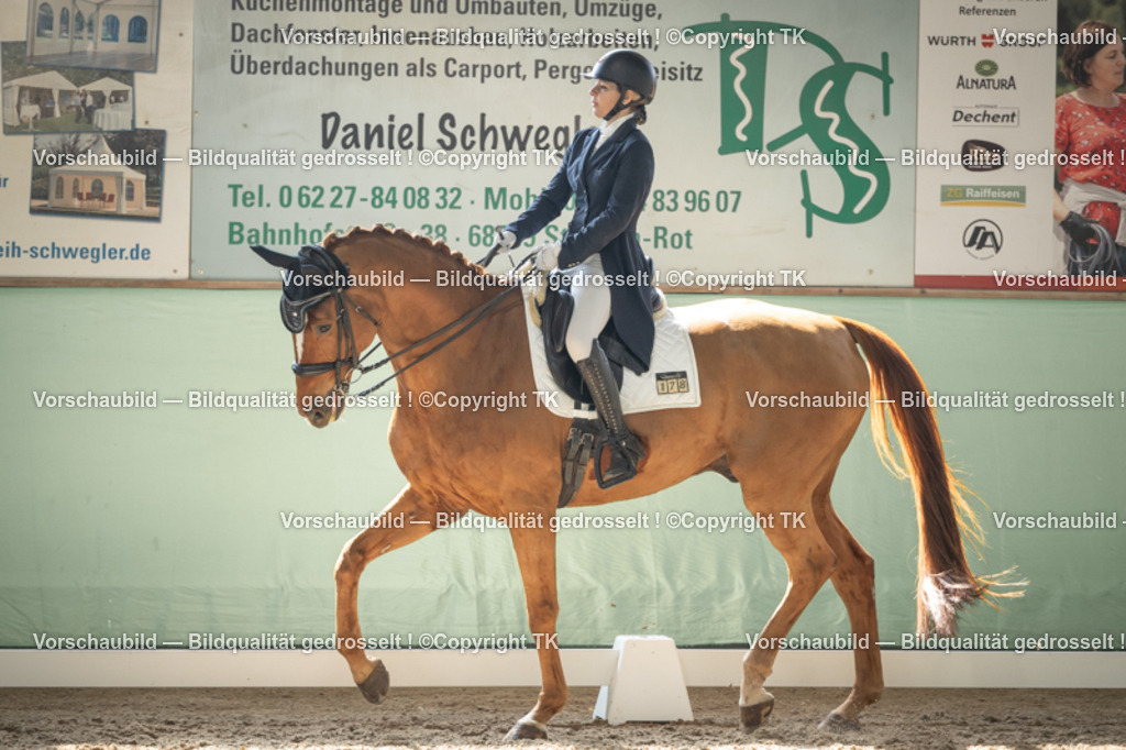 _D5A1438 | Emotionale Pferde- & People-Fotografie rund um Heidelberg, Leimen & Umgebung. Natürliche Fotos von Pferd, Mensch & Familie. Jetzt Termin sichern!