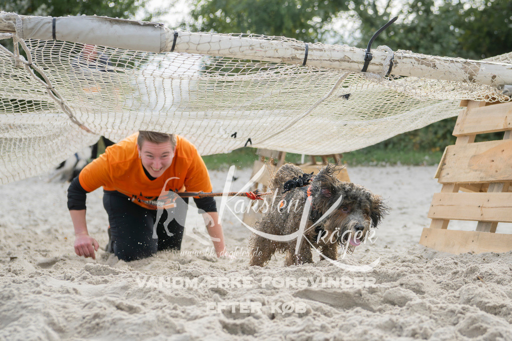 1309_ZZ95572 | kk-dogfotos