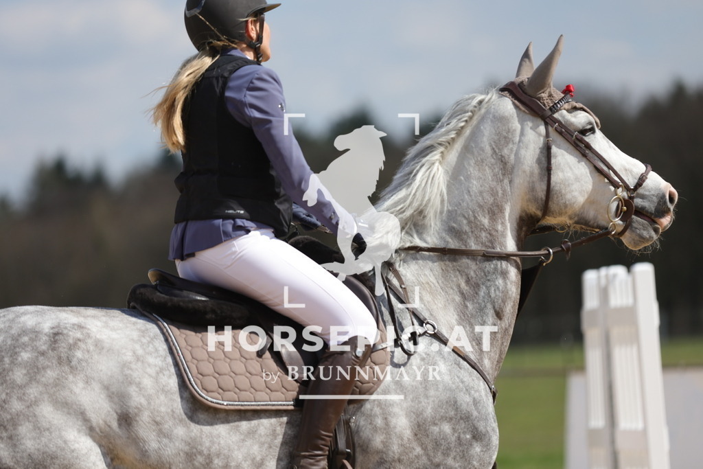 0P6A7508 | Willkommen bei Brunnmayr - Design & Fotografie – Ihrem Spezialisten für Reitturniere und Pferdeveranstaltungen in Oberösterreich, Salzburg und Bayern! Seit über 17 Jahren sind wir leidenschaftlich dabei.