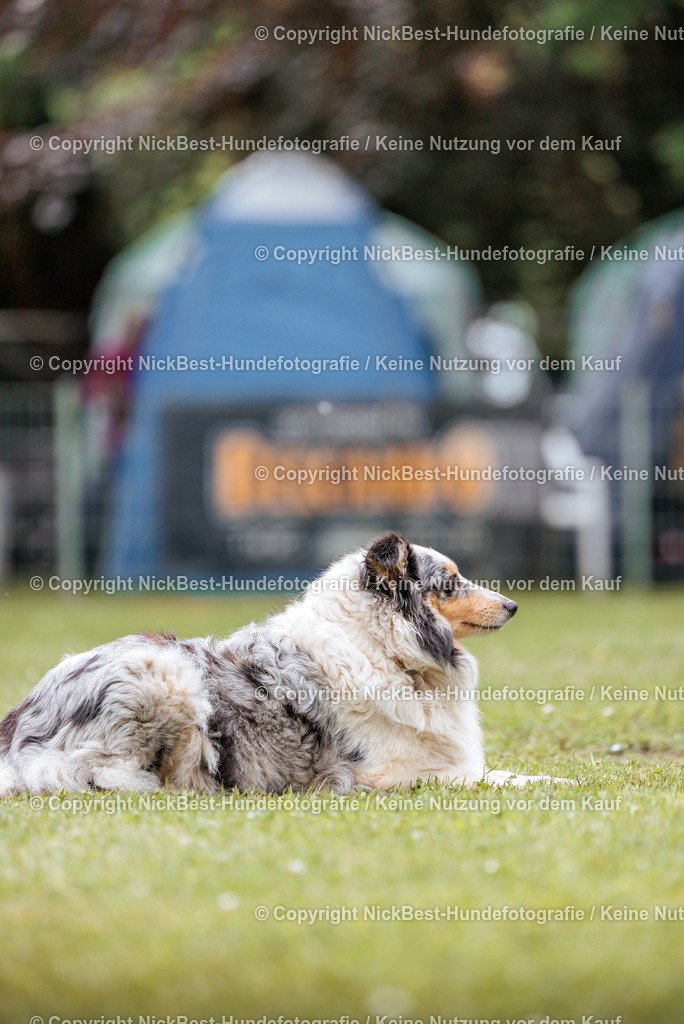 RO-Blumenthal-2026-Nickbest-Hundefotografie-2905 | Dein Hund! Dein Moment! Deine Erinnerungen! Hundefotografie in Bremen Blumenthal. Ich fange die besonderen Momente deines Vierbeiners ein – ob Indoor mit Blitzanlage oder in der freien Natur. Sicher dir dein Moment und dein Termin für eure Erinnerungen.