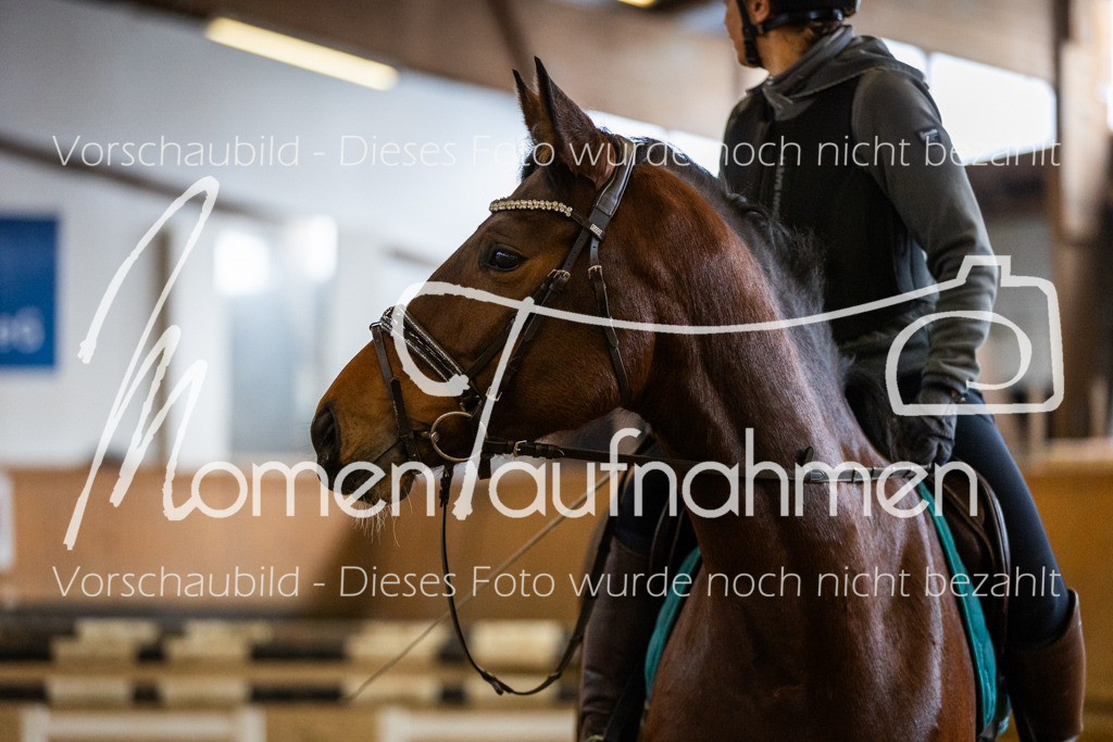 LehrgSth24-060 | MomenTaufnahmen Pferdesportfotos