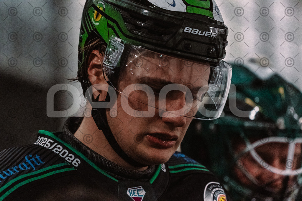 Alligators_vs_Erding_01_02_2026-56 | Höchstadt Alligators Fotogalerie: Eishockey-Action aus Franken. Professionelle Spielfotos, Portraits & Stadionbilder zum Download. Jetzt entdecken! - Realisiert mit Pictrs.com