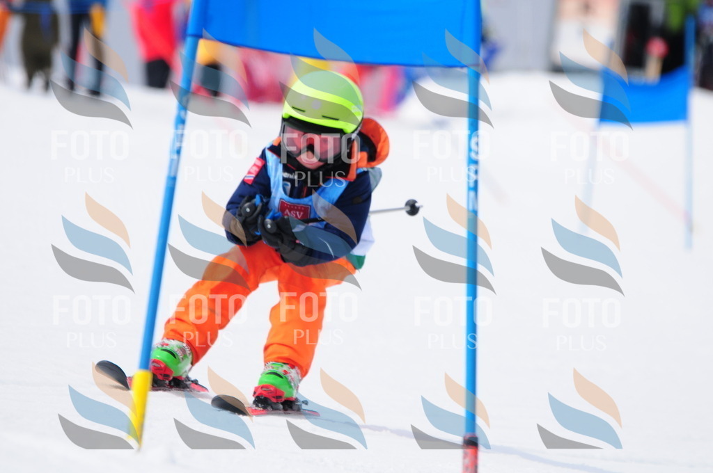 A3833 | holidayphoto