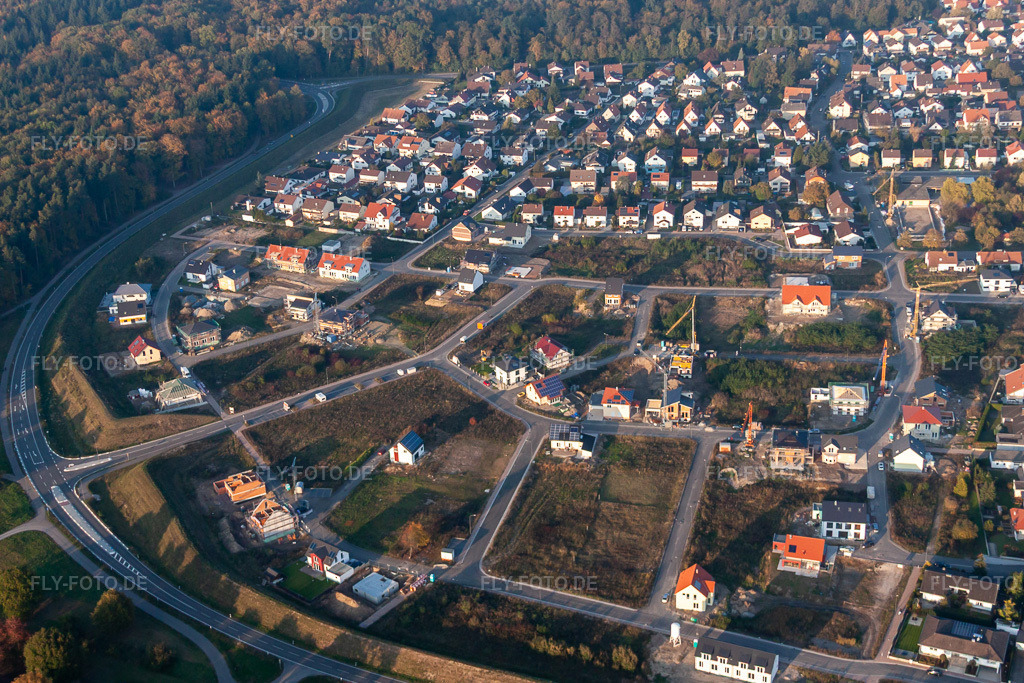 Luftbild: Forstlandallee in Jockgrim im Bundesland Rheinland-Pfalz in Deutschland. Foto: IMG_46133.jpg vom 23.10.2011 durch Werner Riehm/FLY-FOTO.de