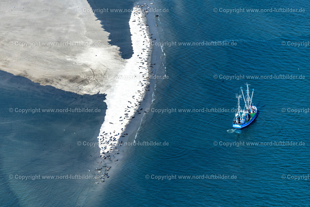 Langeoog_Seehundbänke_Robbenbänke_Krabbenkutter_ELS_8402050923 | LANGEOOG 05.09.2023 Seehund und Robben Bank in der Wattenmeerlandschaft am Oststrand auf der Insel Langeoog mit einen Krabbenkutter im Bundesland Niedersachsen, Deutschland. // Seal and seal bank in the Wadden Sea landscape on the eastern beach on the island of Langeoog with a shrimp boat in the state of Lower Saxony, Germany. Foto: Martin Elsen