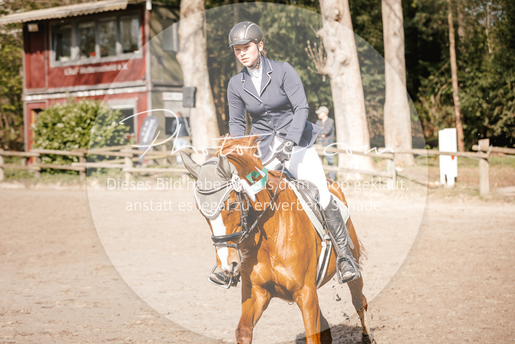 3I6A3839 | Stimmungsvolle Portraits und Reitsportfotografie im Ruhrgebiet und im Münsterland.

Pferdefotografie, Hundefotografie, Tierfotografie, Reportagen, Portraits von Tier und Mensch, Turnierfotografie in Bochum, Recklinghausen, Marl, Haltern am See, Dülmen.. - Realisiert mit Pictrs.com