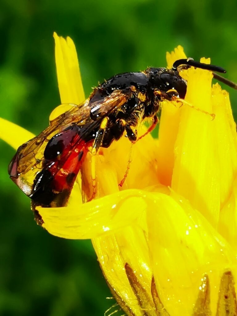 PSX_20220930_225432 | mtkfoto_ - Realisiert mit Pictrs.com