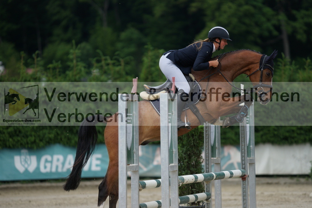 DSC06619 | equestrian-live-com
