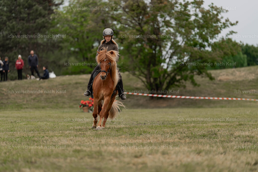 Showprogramm-482 | working equitationturnier fotograf videograf stoibphotography marixx film working equitation deutschland reitsport turnierfotografie eventfotografie equestrian events